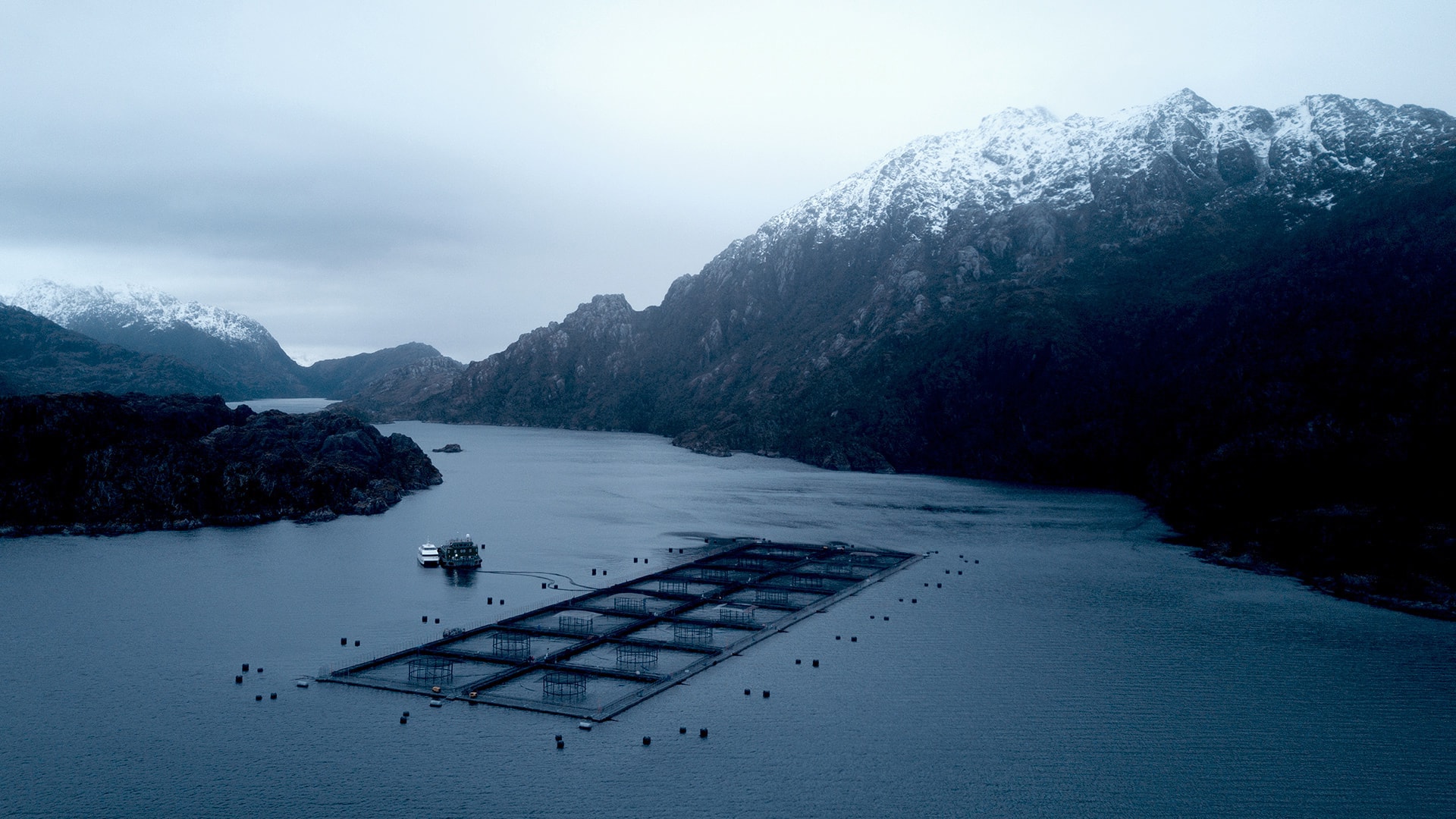 佳沃食品2022半年報重磅發(fā)布！