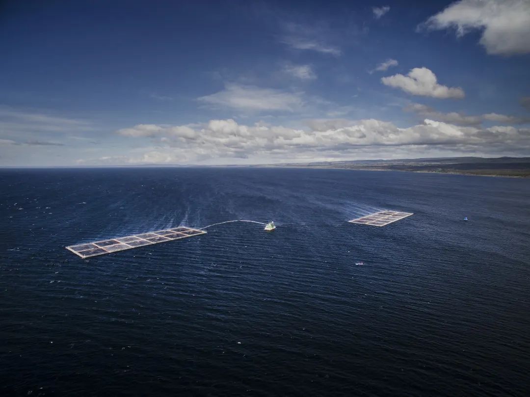 萬萬沒想到，F(xiàn)CR是養(yǎng)魚的關(guān)鍵？